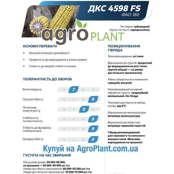 Насіння кукурудзи ДКС 4598 F&S Монсанто – ФАО 360, середньопізня, зубовидний тип зерна