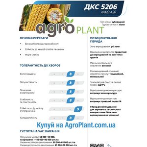 Кукурудза ДКС 5206
