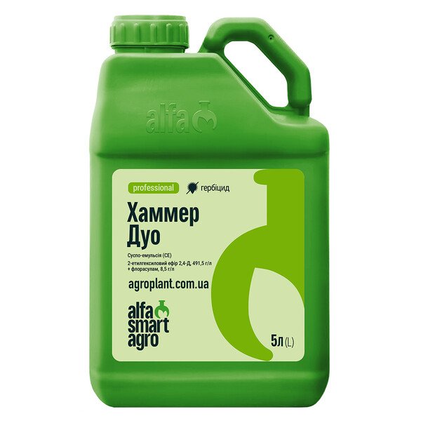 Хаммер Дуо