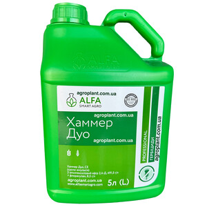 Хаммер Дуо