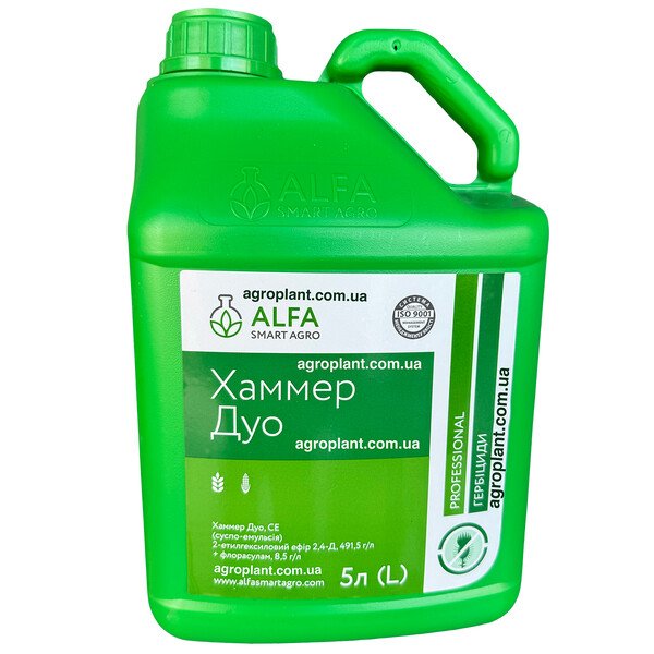 Хаммер Дуо