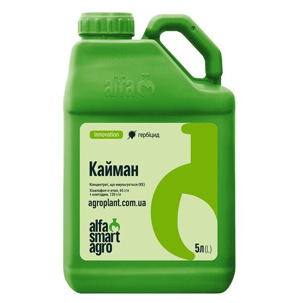 Кайман