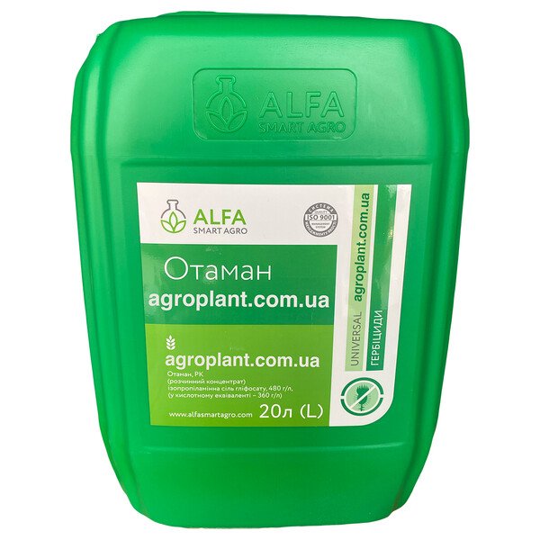 Отаман