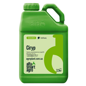 Сигур