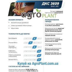 Кукурудза ДКС 3609