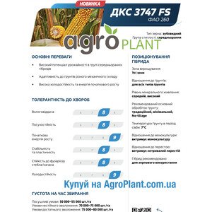 Кукурудза ДКС 3747