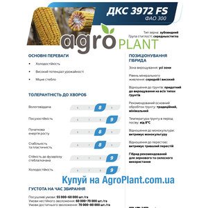 Кукурудза ДКС 3972