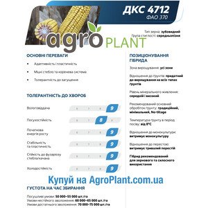 Кукурудза ДКС 4712