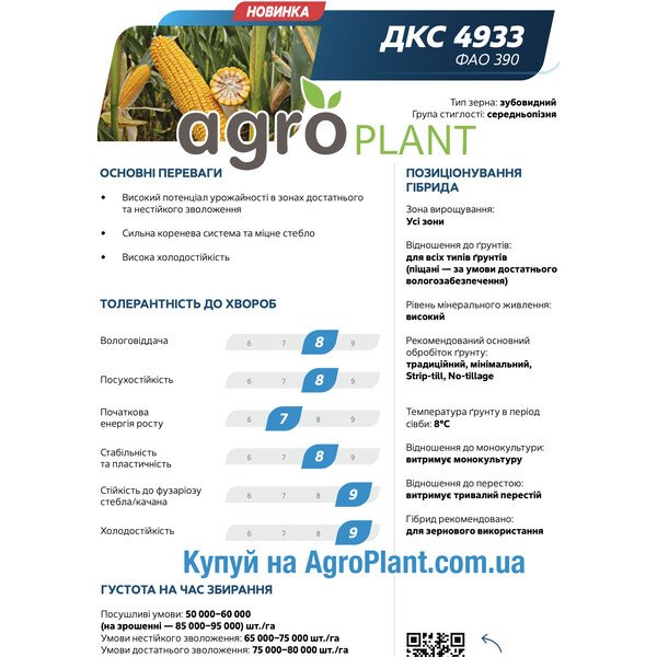 Насіння кукурудзи ДКС 4933 Монсанто – ФАО 390, середньопізня, зубовидний тип зерна