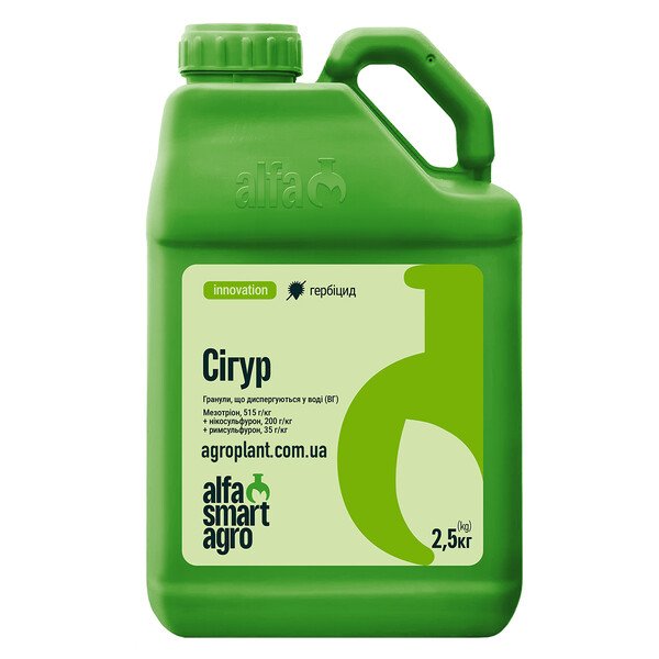 Сигур