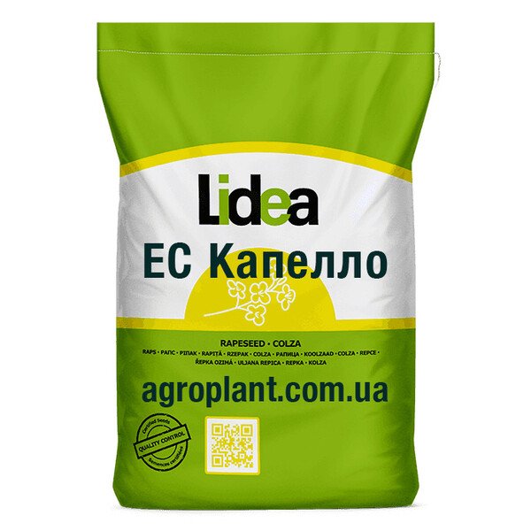 ЕС Капелло – семена озимого рапса Lidea: характеристики, цена