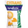 Соняшник Суліано