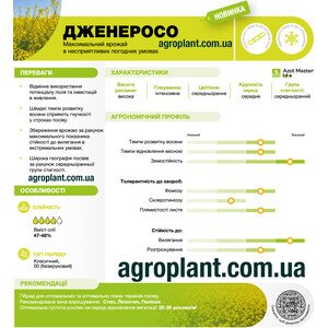 Дженеросо озимий ріпак