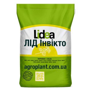 ЛІД Інвікто озимий ріпак