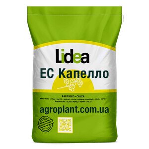 ЕС Капелло озимий ріпак