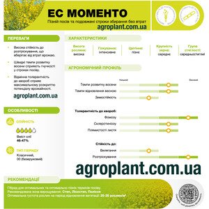 ЕС Моменто озимий ріпак