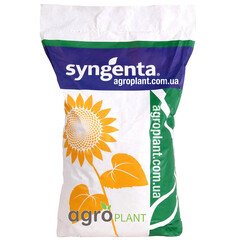 Соняшник Сингента (Syngenta)