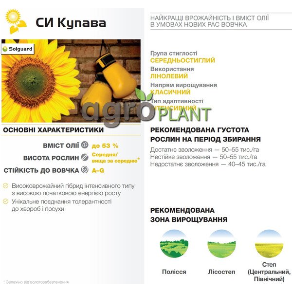 Купава подсолнечник