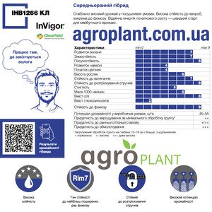 ІНВ1266 КЛ озимий ріпак