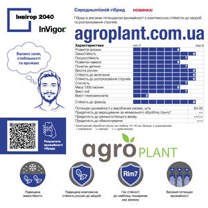 Інвігор 2040 озимий ріпак