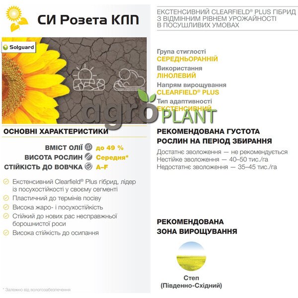 Розета соняшник