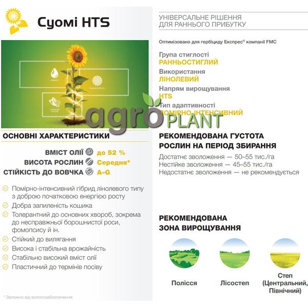 Суомі соняшник