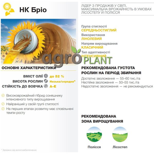 Бріо соняшник