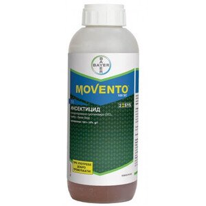 Мовенто
