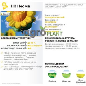 Соняшник Неома