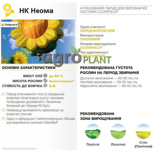 Неома соняшник – гібрид, перевірений часом
