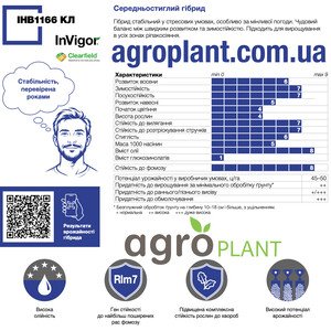 ИНВ1166 КЛ озимый рапс