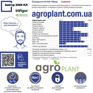 Інвігор 2066 КЛ озимий ріпак