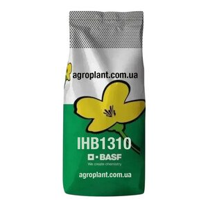 ІНВ1310 озимий ріпак