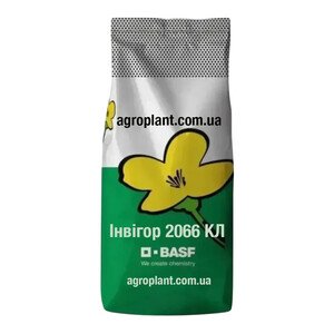Інвігор 2066 КЛ озимий ріпак