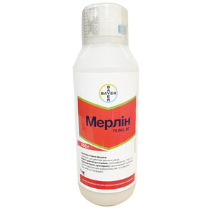 Мерлин