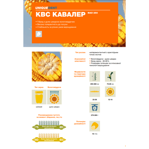 Кукурудза КВС Кавалер