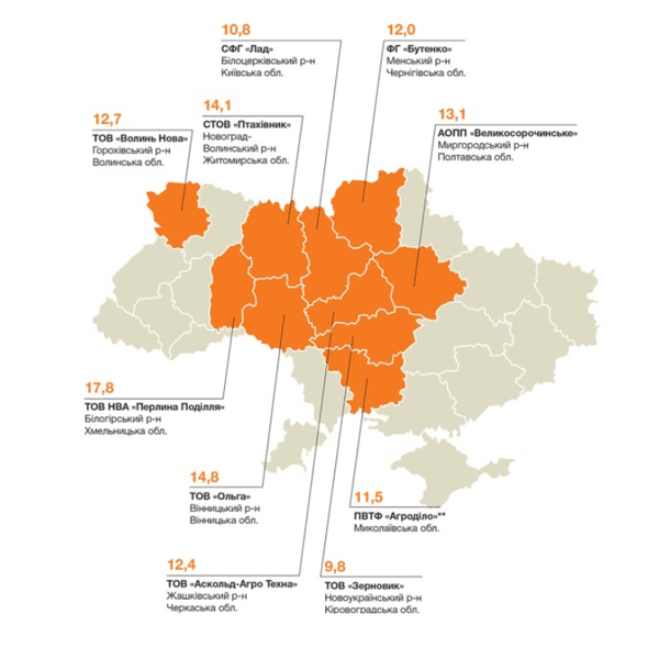 Кукурудза КВС Кавалер – ФАО 250, пластичний гібрид з високою посухостійкістю та надшвидкою вологовіддачею