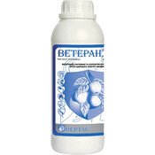 Ветеран
