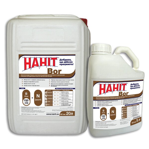 Нанит B11