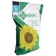 Подсолнечник ВНИС