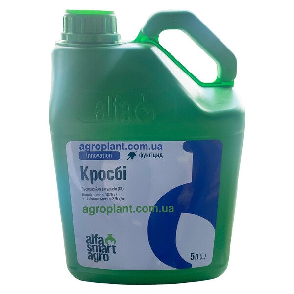 Кросби