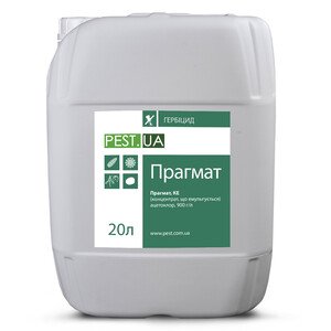 Прагмат