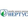 Нертус