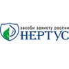 Нертус