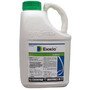 Энжио 247
