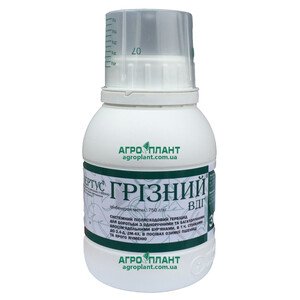 Грозный