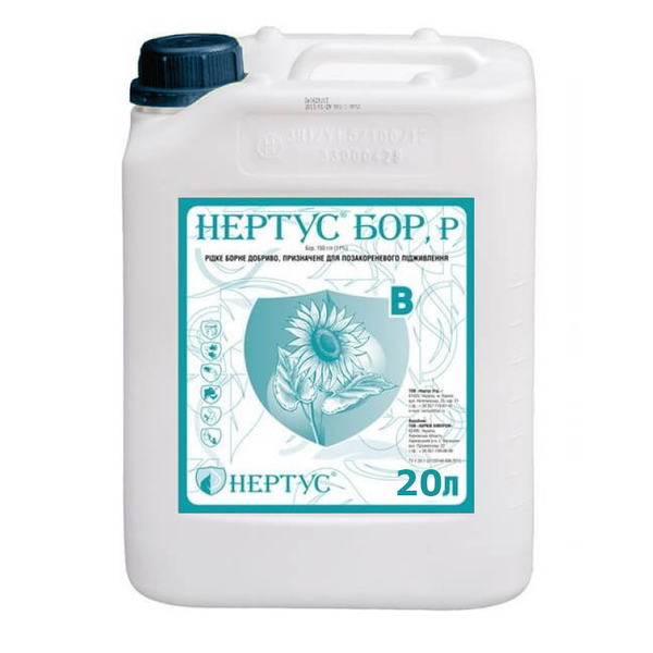 Нертус Бор