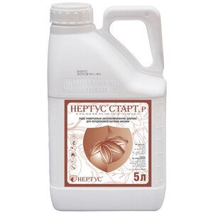 Нертус Старт