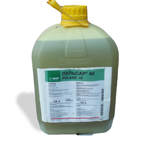 Пульсар 40