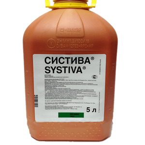 Систива